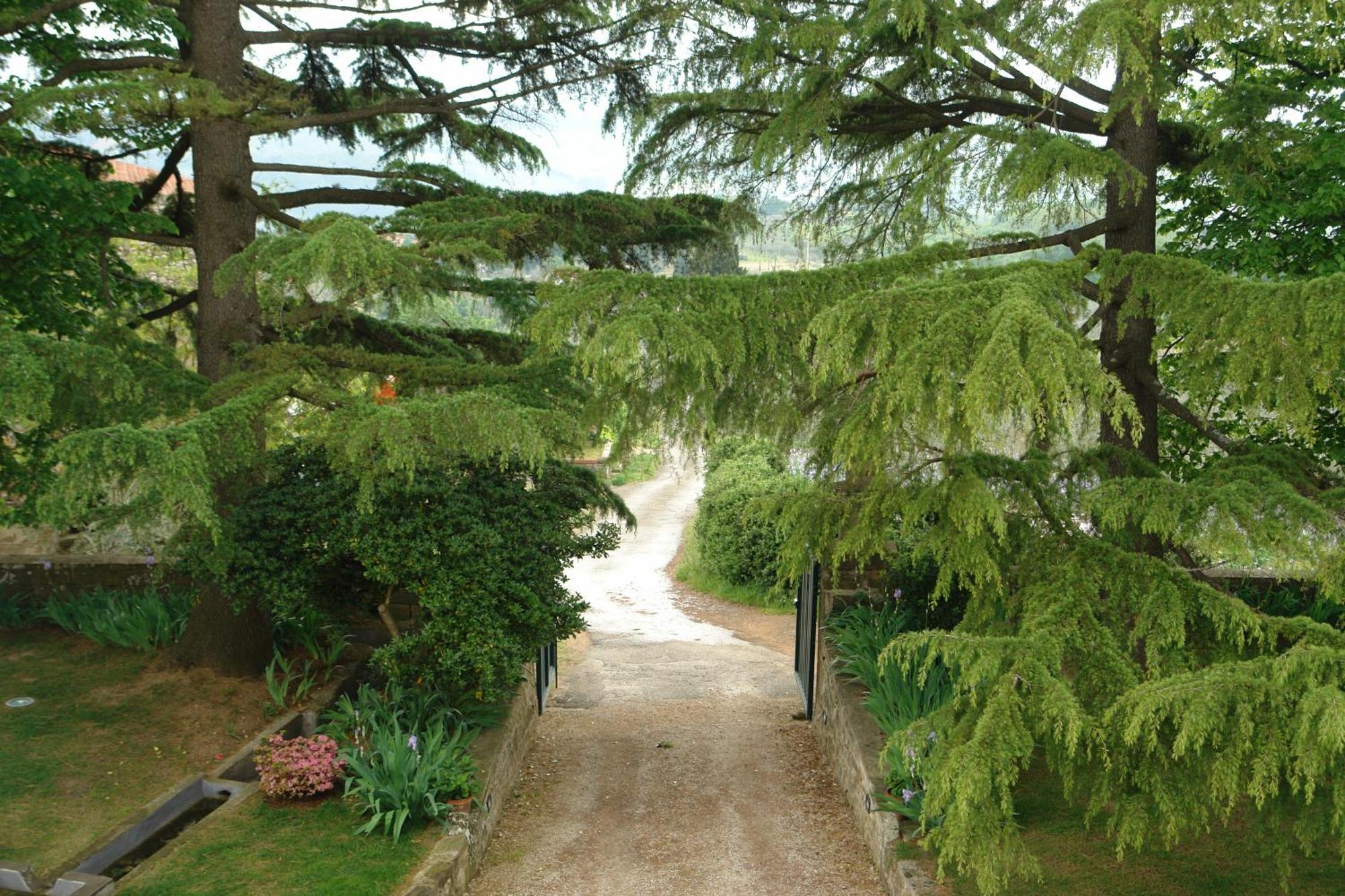 לורו צ'יופנה Relais Villa Belpoggio - Residenza D'Epoca חדר תמונה